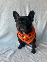 Bonnie