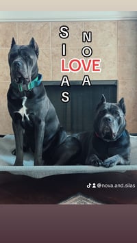Silas