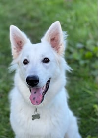 Yuki