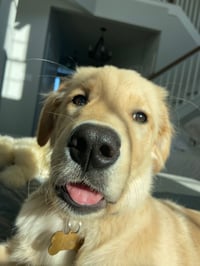 Remi
