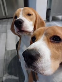 Maze and Marley