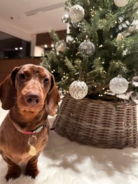 Lilou