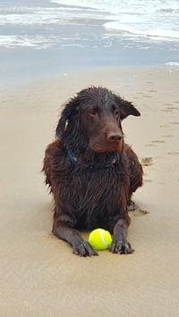 Bobby