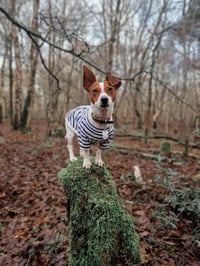 Dottie