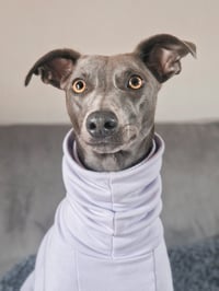 Winnie