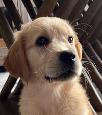 Lucy