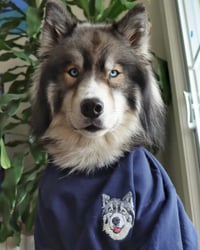 Kuma