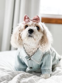 Chloe