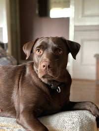 Ramona