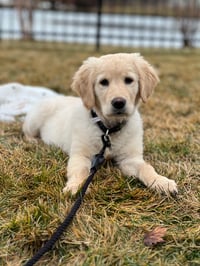 Milo
