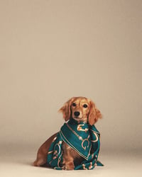 Lila