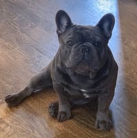 Pablo