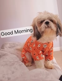 Charlie