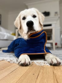 Georgie