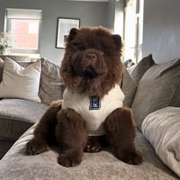 Bertie