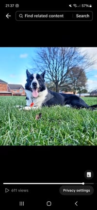 Patch