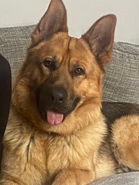 Ace