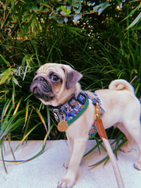 Wallace