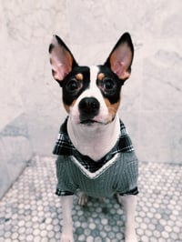 Koda