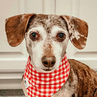 Tucker