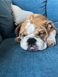 Otis