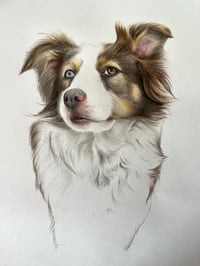 Kona