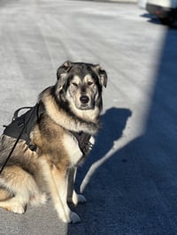 jax