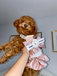 Dolce
