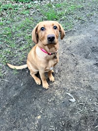 Bella