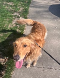 Penny