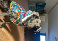 Remi