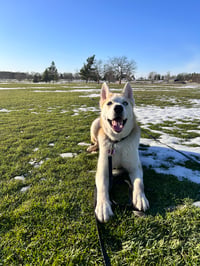 Kal