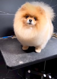 Eros