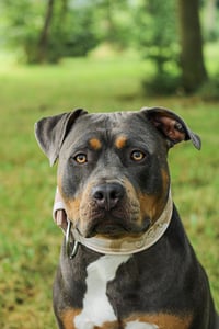 Jax