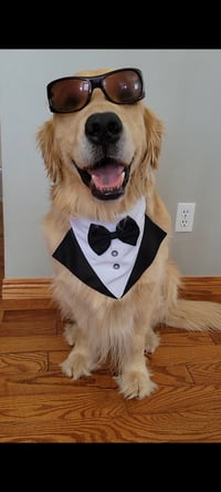 GRIFFIN