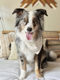 Isla
