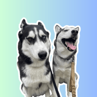 Ghost & Dakota