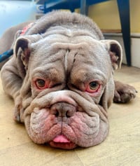 Walter