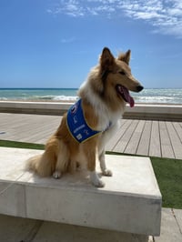 Yuki