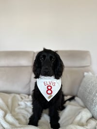 Elvis