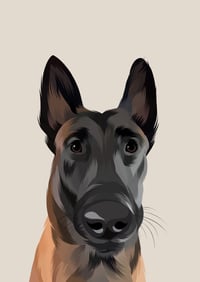 Nitro