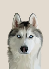 Rex