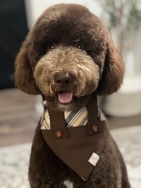 Buster Brown
