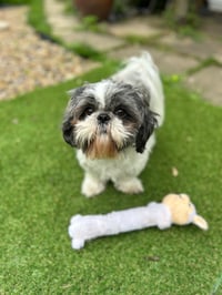Bella