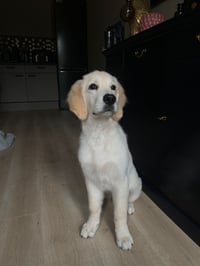 Storm