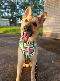 Renegade