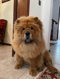 Winnie