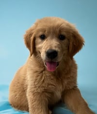 Winnie
