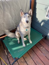 Mia