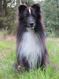 Fiona